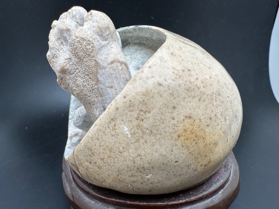 Stunning Vintage Hand-Carved Stone Turtle Emerging From Egg with Writing 84.7g [Photo 13]