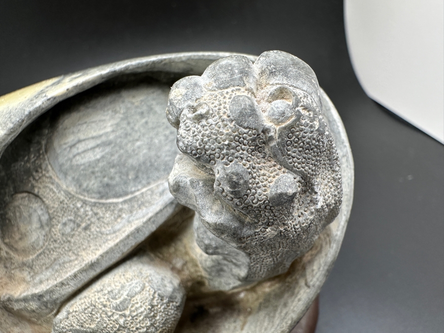 Stunning Vintage Hand-Carved Stone Turtle Emerging From Egg with Writing 74.6g [Photo 7]