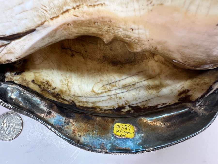 Impressive Tibetan Conch Shell Ritual Horn Adorned With Detailed Silver, Coral And Turquoise Weighs 2,232g [Photo 28]