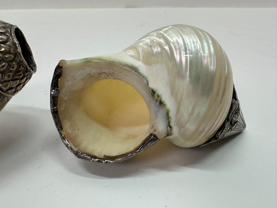 Set of (3) Tibetan Silver Shells 572g [Photo 14]