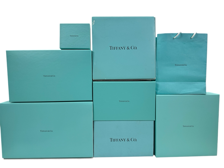 Collection of (7) Tiffany Boxes and (1) Bag Ranging from Approximately 5'W x 4'H x 2'D up to 15'W x 9H x 7D [Photo 1]