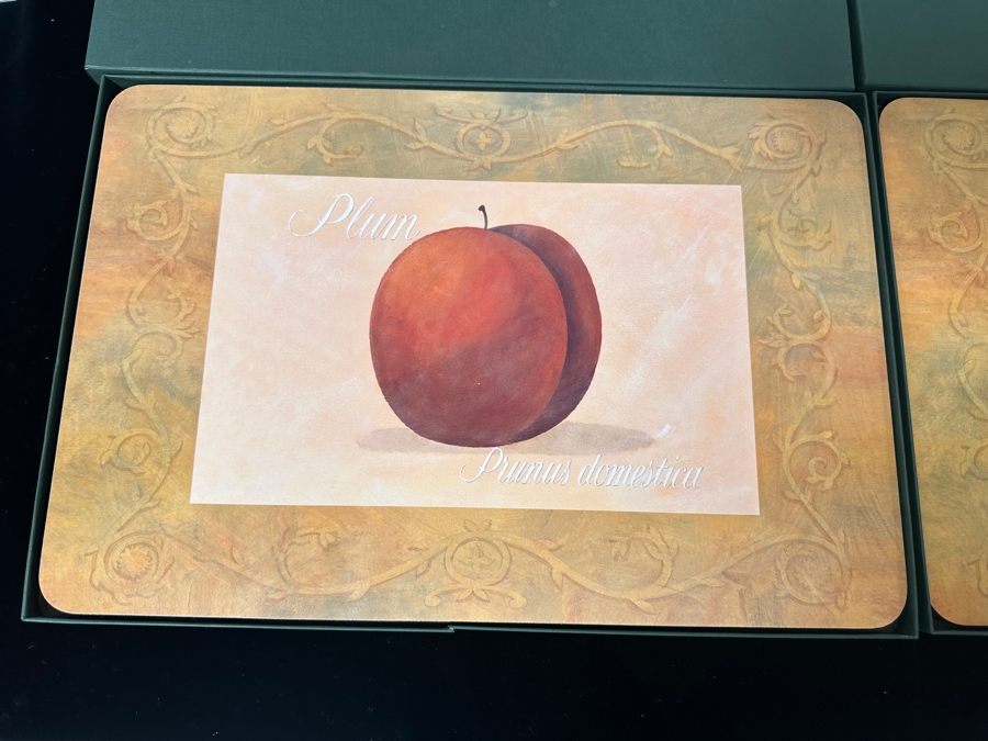 New Set of Vintage Jason Fruit Placemats and Coasters [Photo 2]