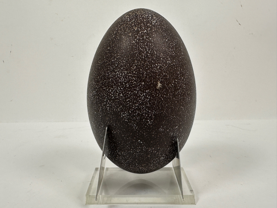 Just Added - Vintage Australian Carved Emu Egg With Stand 5.75H [Photo 7]