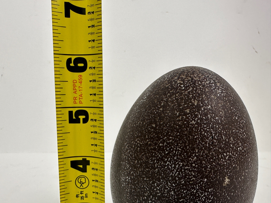 Just Added - Vintage Australian Carved Emu Egg With Stand 5.75H [Photo 8]