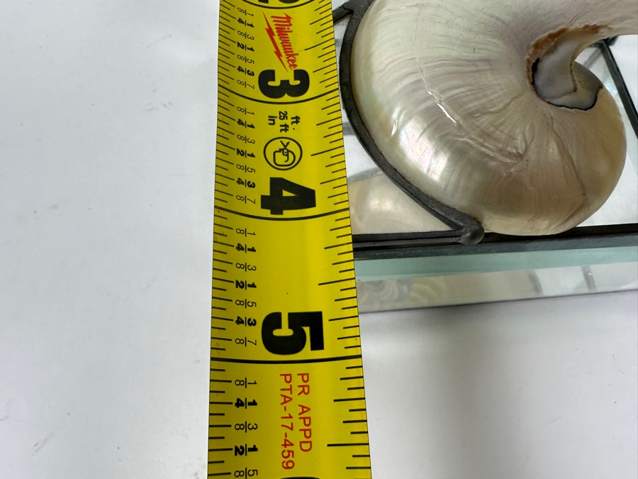 Just Added - Glass Box With Nautilus Shell Top 6W X 4D X 3H [Photo 9]