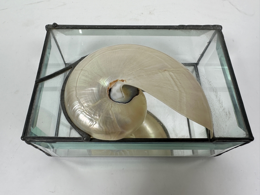Just Added - Glass Box With Nautilus Shell Top 6W X 4D X 3H [Photo 4]
