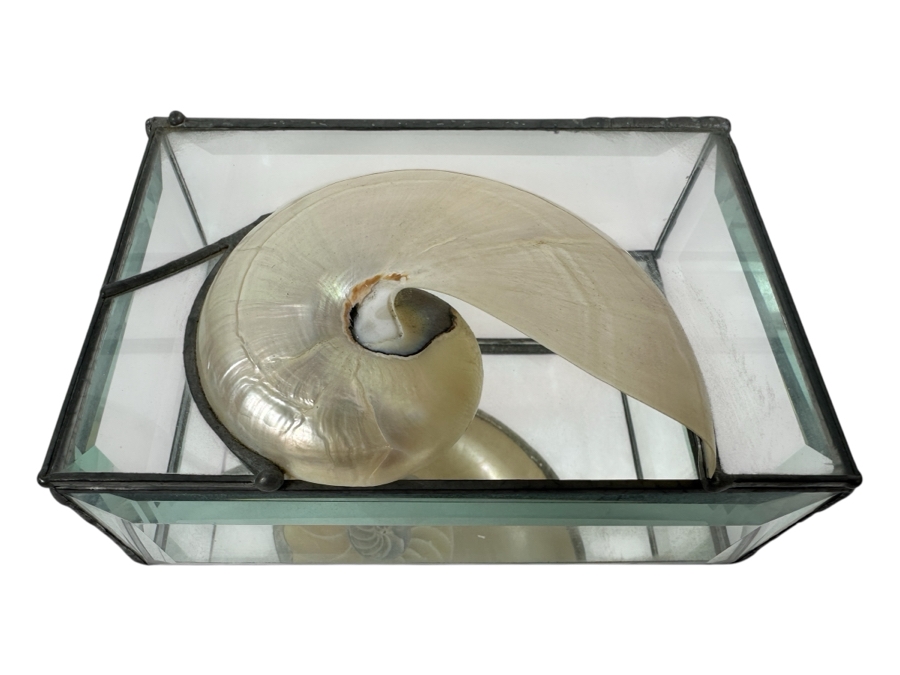 Just Added - Glass Box With Nautilus Shell Top 6W X 4D X 3H [Photo 1]