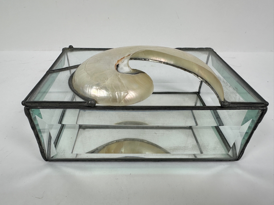 Just Added - Glass Box With Nautilus Shell Top 6W X 4D X 3H [Photo 5]