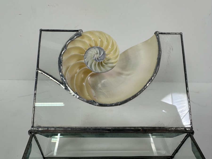 Just Added - Glass Box With Nautilus Shell Top 6W X 4D X 3H [Photo 7]