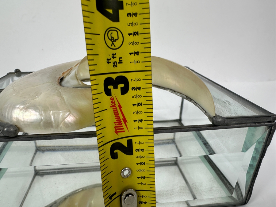Just Added - Glass Box With Nautilus Shell Top 6W X 4D X 3H [Photo 10]