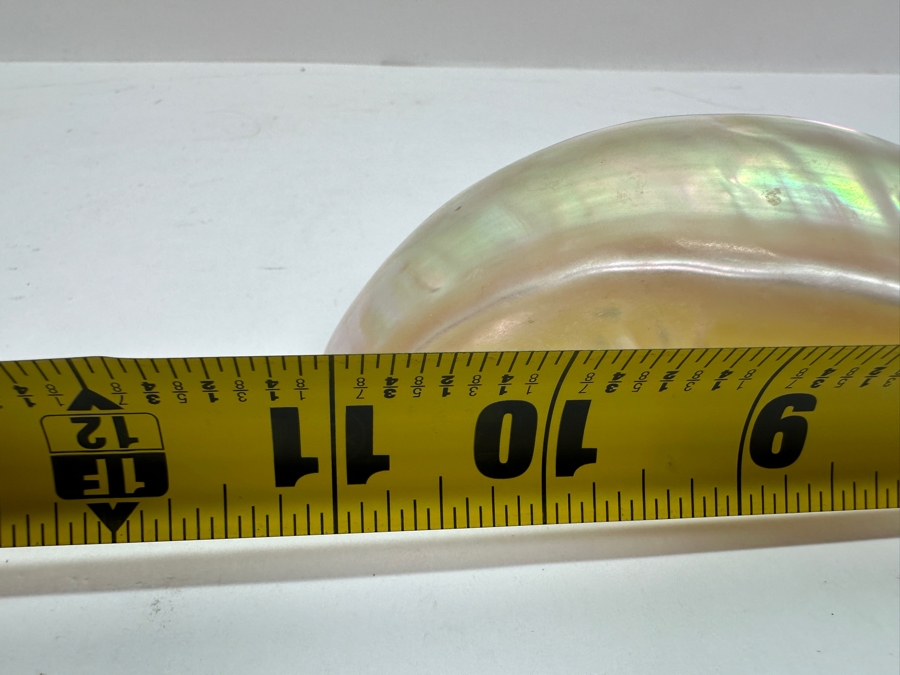 Just Added - Mother Of Pearl Spoon With Horn Handle 11L [Photo 6]