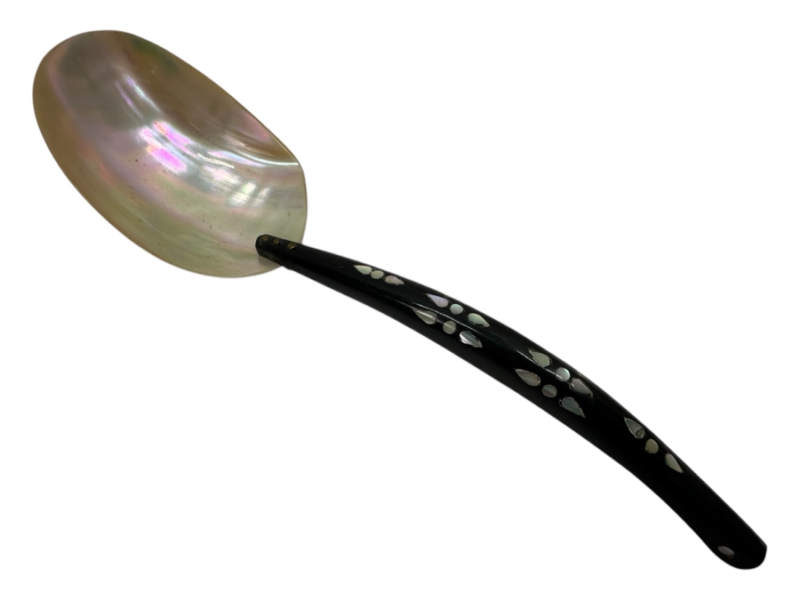 Just Added - Mother Of Pearl Spoon With Horn Handle 11L [Photo 1]