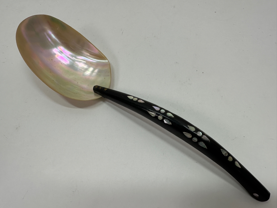 Just Added - Mother Of Pearl Spoon With Horn Handle 11L [Photo 2]
