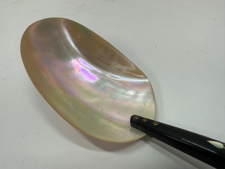 Just Added - Mother Of Pearl Spoon With Horn Handle 11L [Photo 3]
