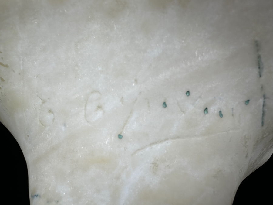 Stunning Carved Alabaster Bust Of A Young Woman Artist Signed 10W X 17.5H [Photo 11]