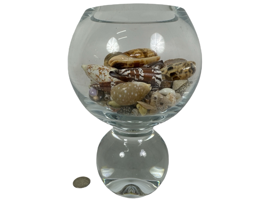 Just Added - Glass Vase Filled With Organic Seashells 8.5H