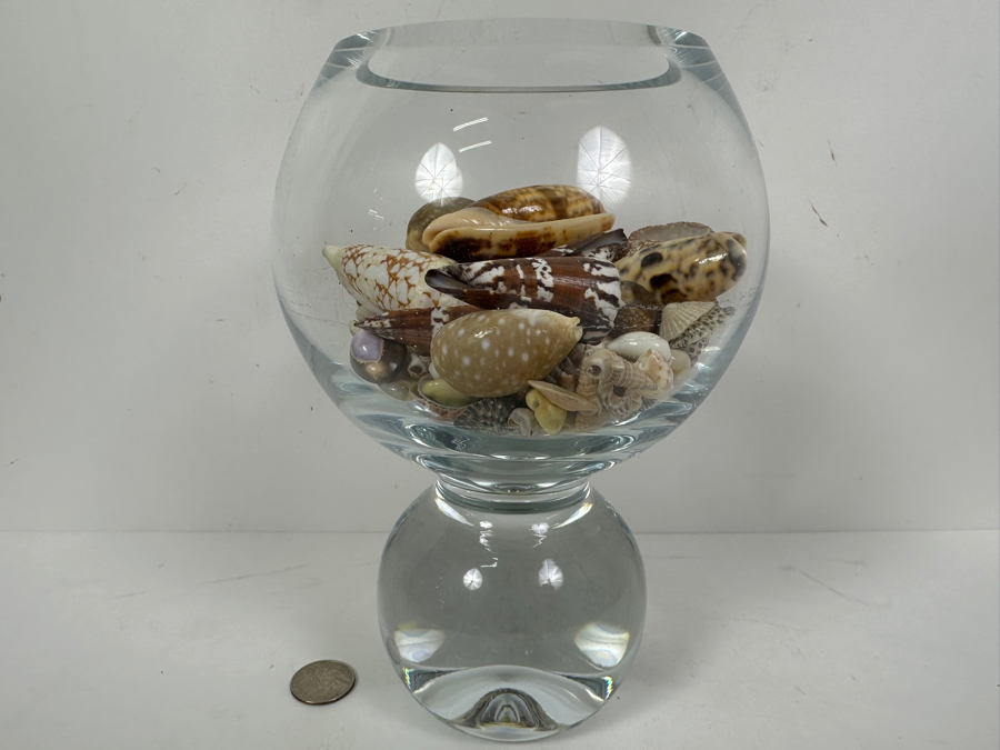 Just Added - Glass Vase Filled With Organic Seashells 8.5H [Photo 3]