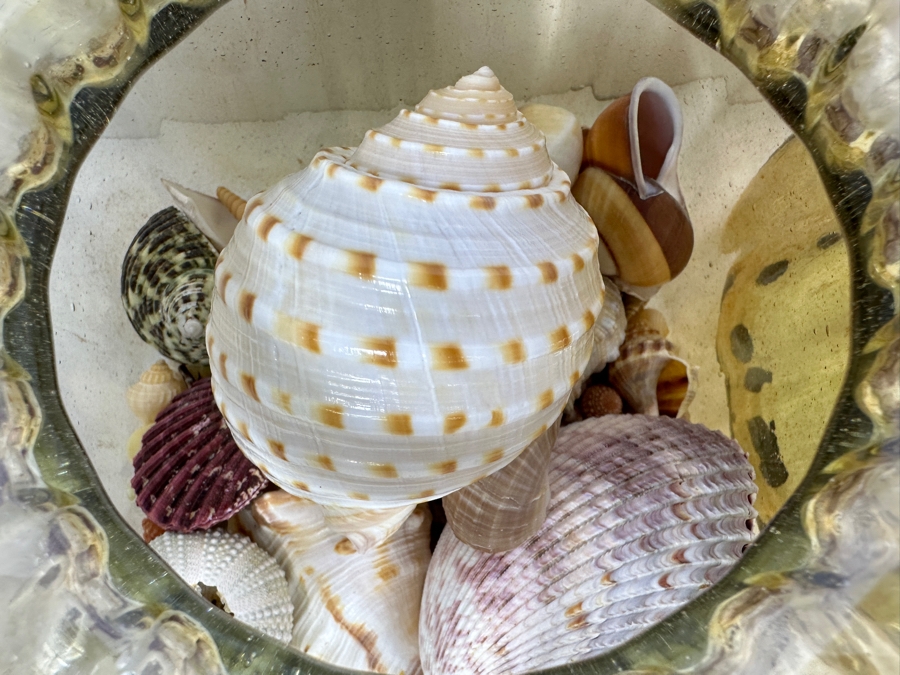Just Added - Pair Of Glass Jars With Metal Lids (One Filled With Organic Seashells) 7H And 7.75H [Photo 6]