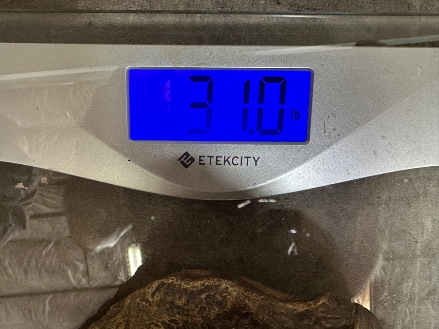 Jean-Baptiste Germain (1841-1910, French) Rare French Art Nouveau Gilt Bronze Sculpture Signed 'Germain JB  - Exposition Paris 1900' 26'H Weighs 31.0lbs [Photo 26]