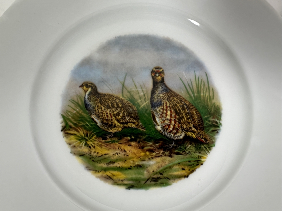 (6) Heinrich Germany 9.75' Bird Quai+l Plates & (1) Lorenz Hutschen Reuther Germany Bird Quail Serving Platter 14.5'W [Photo 4]