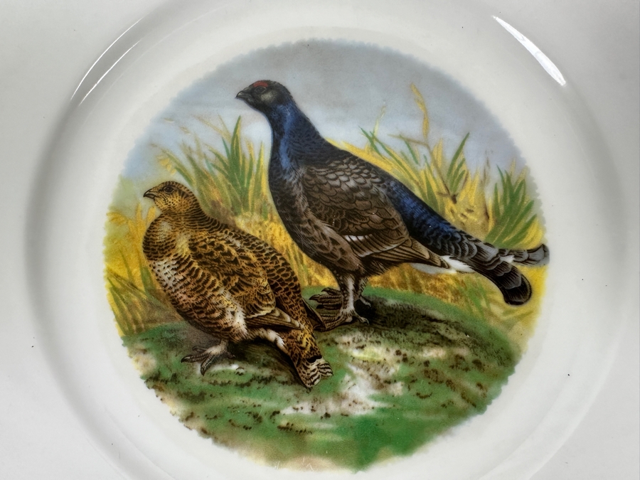 (6) Heinrich Germany 9.75' Bird Quai+l Plates & (1) Lorenz Hutschen Reuther Germany Bird Quail Serving Platter 14.5'W [Photo 8]