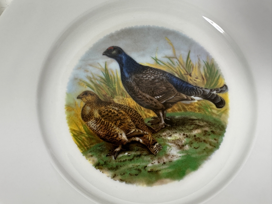 (6) Heinrich Germany 9.75' Bird Quai+l Plates & (1) Lorenz Hutschen Reuther Germany Bird Quail Serving Platter 14.5'W [Photo 5]