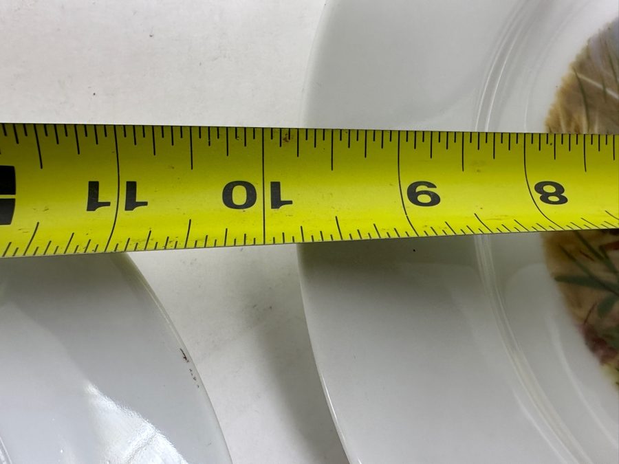 (6) Heinrich Germany 9.75' Bird Quai+l Plates & (1) Lorenz Hutschen Reuther Germany Bird Quail Serving Platter 14.5'W [Photo 13]