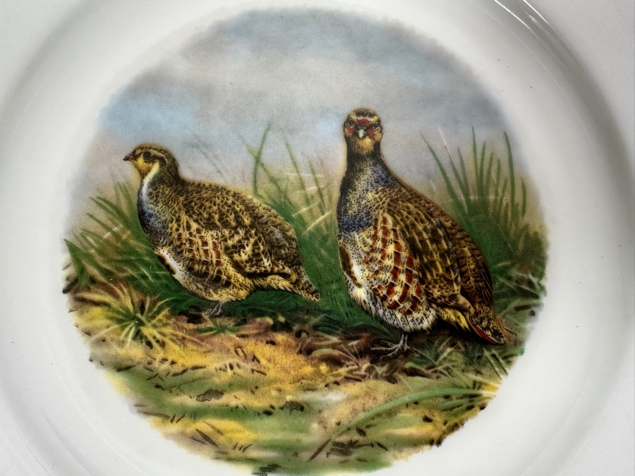 (6) Heinrich Germany 9.75' Bird Quai+l Plates & (1) Lorenz Hutschen Reuther Germany Bird Quail Serving Platter 14.5'W [Photo 9]