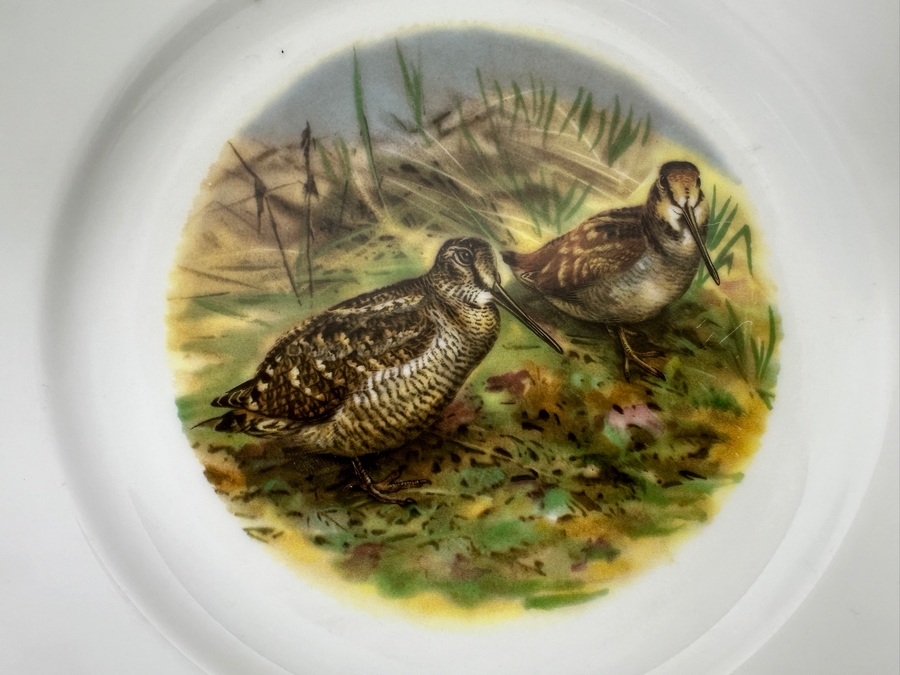 (6) Heinrich Germany 9.75' Bird Quai+l Plates & (1) Lorenz Hutschen Reuther Germany Bird Quail Serving Platter 14.5'W [Photo 6]
