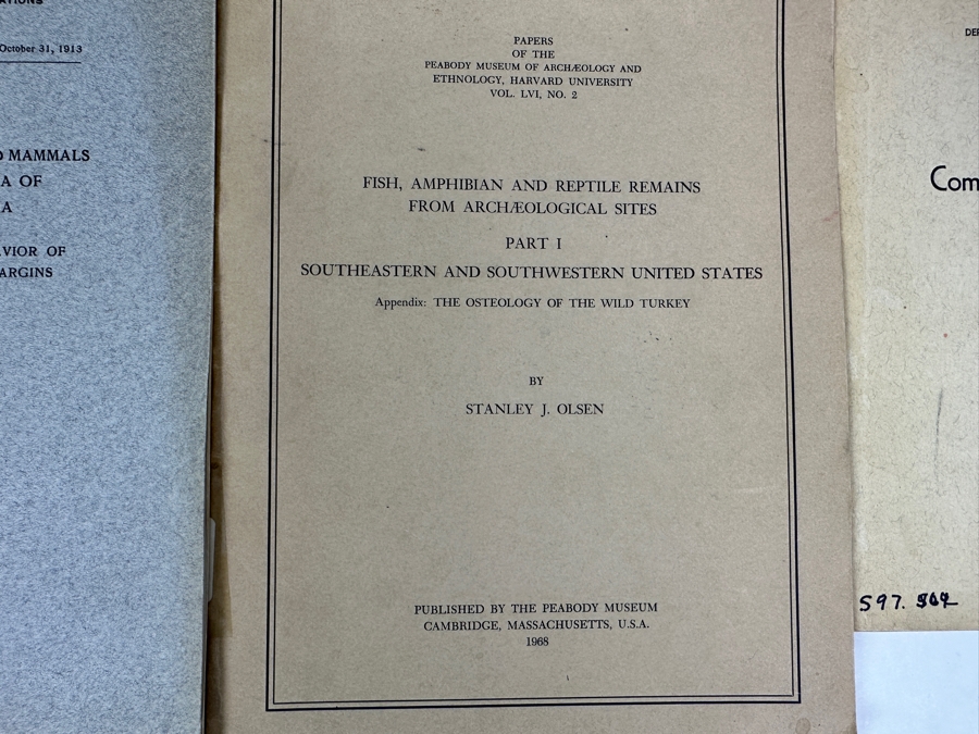 Collection Of Antique / Vintage Paperback Books On Southern California Birds, Mammals, Reptiles, Animals, Marine Fish, Kelp Beds [Photo 4]