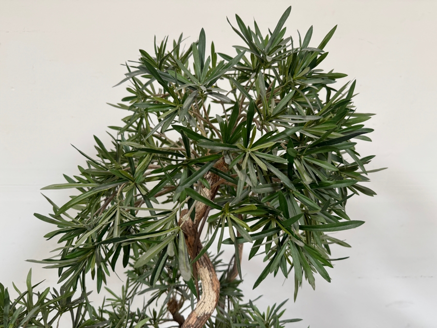 Just Added - Artificial Indoor Buddhist Pine Potted Plant 65'H [Photo 6]