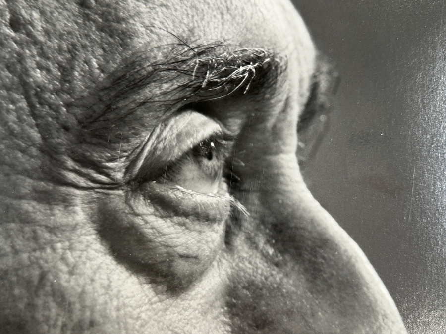 Yousef Karsh (1908-2002, Armenian/Canadian) 'Jacques Cousteau' Gelatin Silver Print Signed Lower Left 16 X 20 [Photo 8]