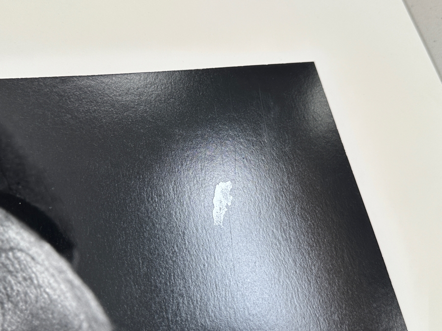 Yousef Karsh (1908-2002, Armenian/Canadian) 'Jacques Cousteau' Gelatin Silver Print Signed Lower Left 16 X 20 [Photo 15]