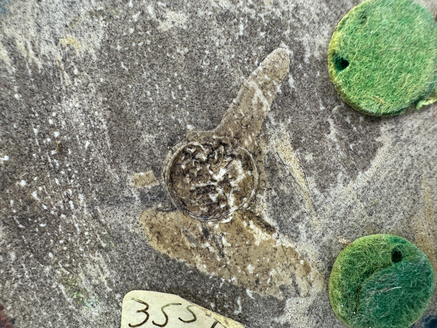 Vintage Japanese Kutani Porcelain Foo Dog Figurine Retails $250 10W X 11H [Photo 13]