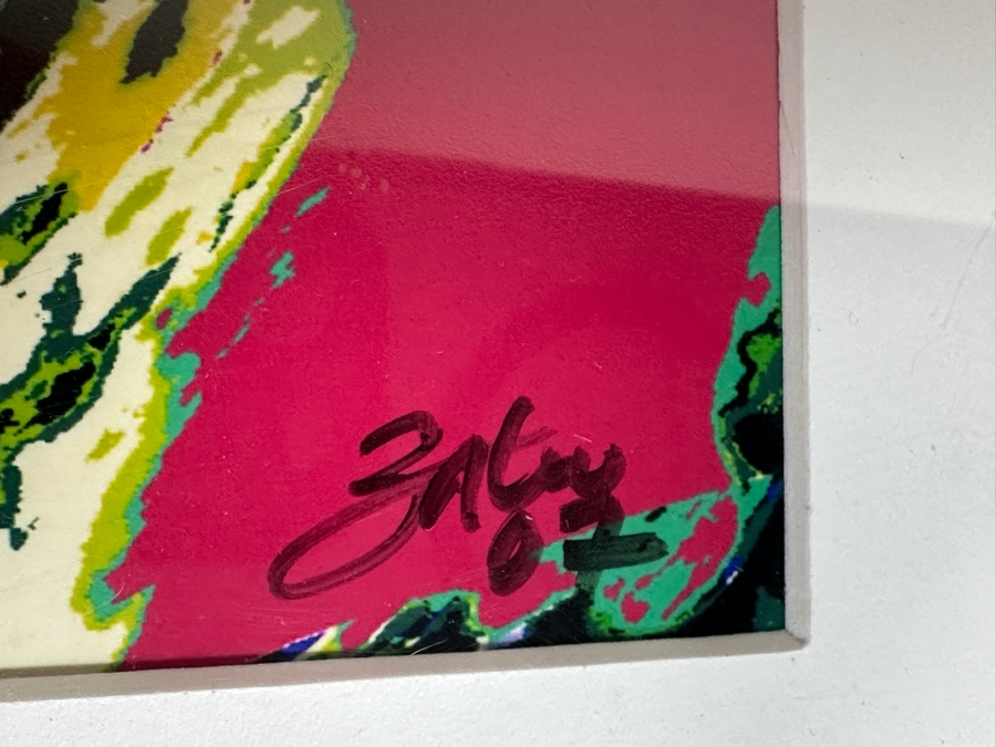 Just Added - Artist Signed Abstract Print 19.5 X 29.5 Framed 28.5 X 40.5 [Photo 6]