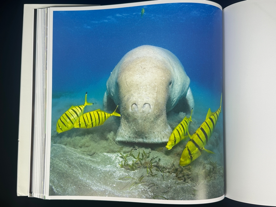 Hardcover Book 'The Life and Love of the Sea' By Lewis Blackwell Retails $55 [Photo 7]