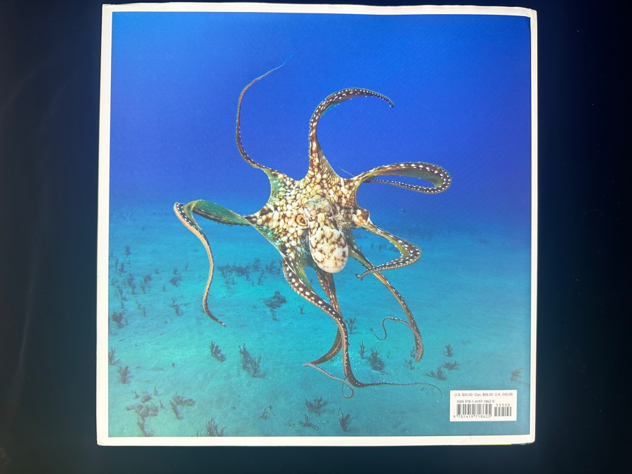 Hardcover Book 'The Life and Love of the Sea' By Lewis Blackwell Retails $55 [Photo 9]