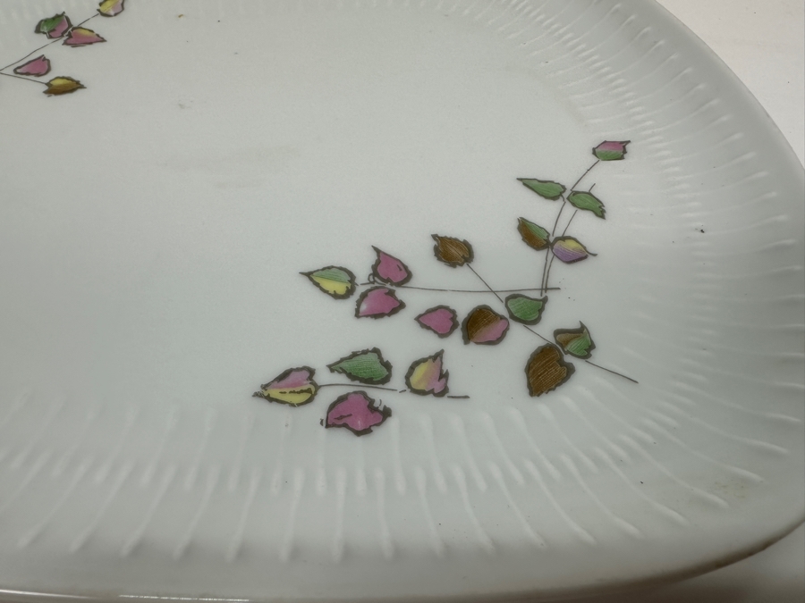 Hutschenreuther Selb Bavarian Plate 13'W x 9.5'D [Photo 4]