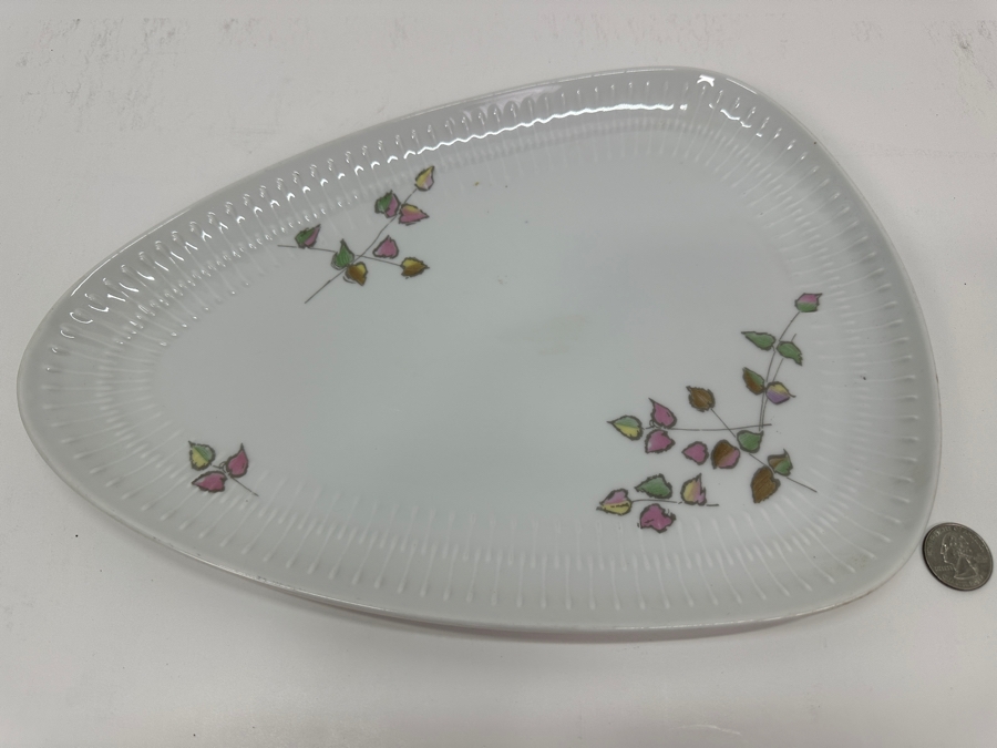 Hutschenreuther Selb Bavarian Plate 13'W x 9.5'D [Photo 2]