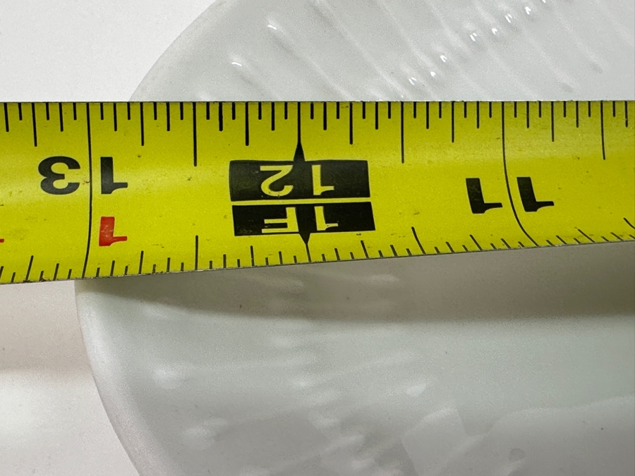 Hutschenreuther Selb Bavarian Plate 13'W x 9.5'D [Photo 6]