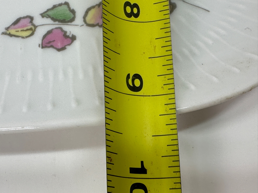 Hutschenreuther Selb Bavarian Plate 13'W x 9.5'D [Photo 7]