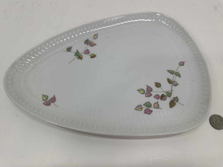 Hutschenreuther Selb Bavarian Plate 13'W x 9.5'D [Photo 3]