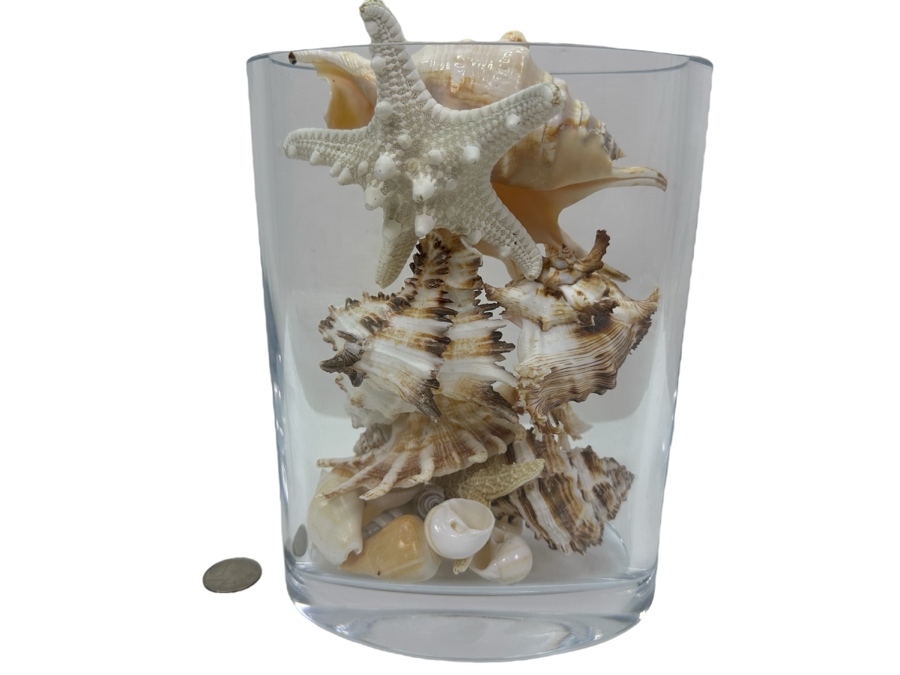Vase Full of Organic Seashells 8'H [Photo 1]