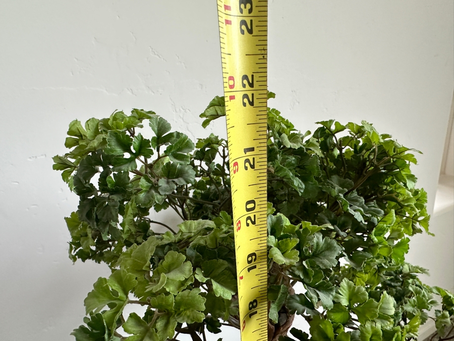 Just Added - Artificial Bonsai Tree 22H [Photo 4]