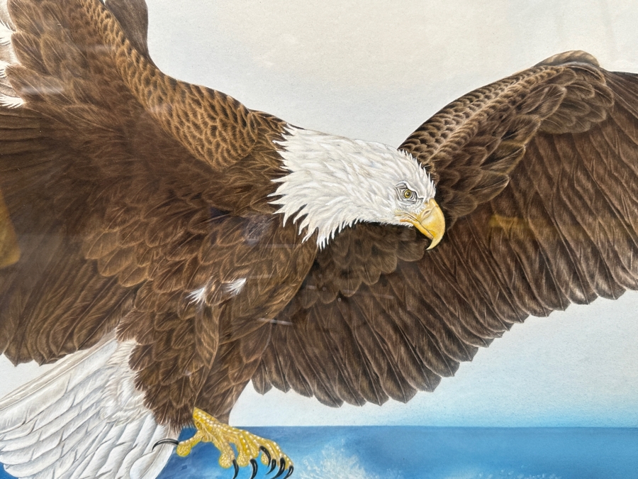 Just Added - J. P. Capella Original Watercolor Painting Of A Bald Eagle & Rainbow Trout Signed Lower Right Capella 33.5 X 27.5 Framed 41 X 35.5 [Photo 3]