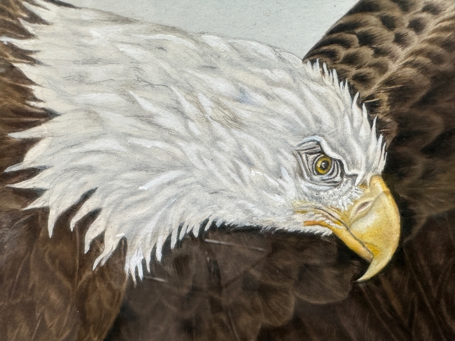 Just Added - J. P. Capella Original Watercolor Painting Of A Bald Eagle & Rainbow Trout Signed Lower Right Capella 33.5 X 27.5 Framed 41 X 35.5 [Photo 4]