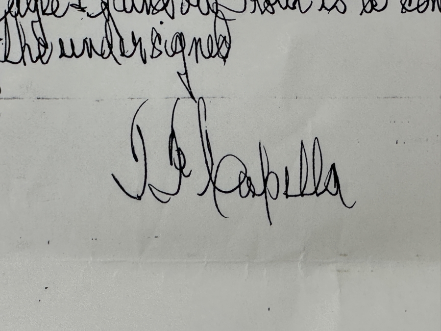 Just Added - J. P. Capella Original Watercolor Painting Of A Bald Eagle & Rainbow Trout Signed Lower Right Capella 33.5 X 27.5 Framed 41 X 35.5 [Photo 16]