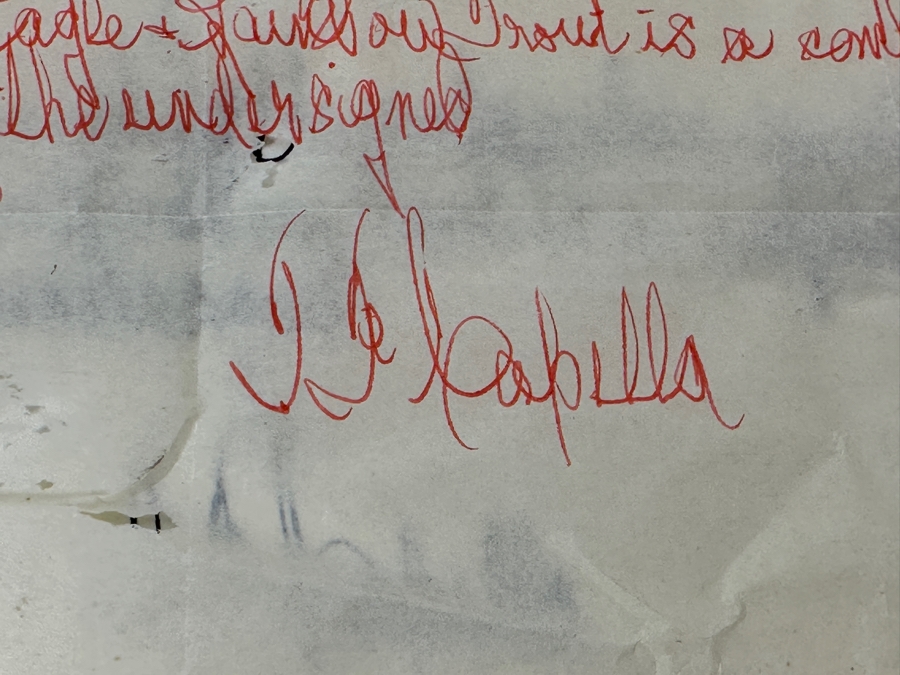 Just Added - J. P. Capella Original Watercolor Painting Of A Bald Eagle & Rainbow Trout Signed Lower Right Capella 33.5 X 27.5 Framed 41 X 35.5 [Photo 14]