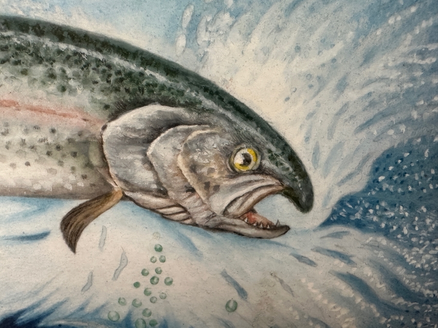 Just Added - J. P. Capella Original Watercolor Painting Of A Bald Eagle & Rainbow Trout Signed Lower Right Capella 33.5 X 27.5 Framed 41 X 35.5 [Photo 7]