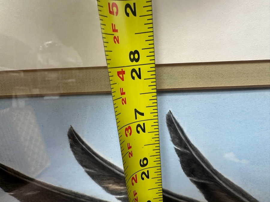 Just Added - J. P. Capella Original Watercolor Painting Of A Bald Eagle & Rainbow Trout Signed Lower Right Capella 33.5 X 27.5 Framed 41 X 35.5 [Photo 17]